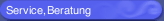Service, Beratung